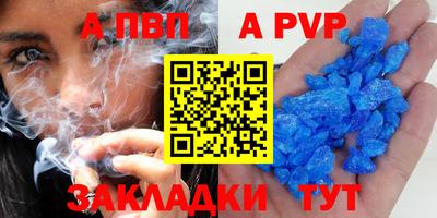 стафф Донской