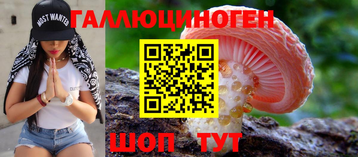 Псилоцибиновые грибы прущие грибы Биробиджан